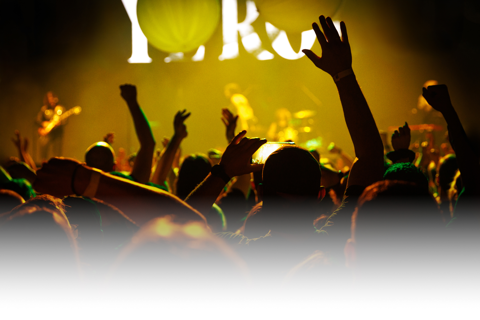 Concerts & Nightlife